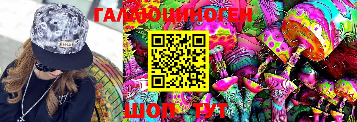 Новокубанск  где можно купить   Вход с VPN  Псилоцибиновые грибы Cubensis  Галлюциногенные грибы мицелий 